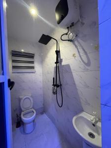 ラゴスにあるFurnished studio apartment in a serene environmentのシャワー、トイレ、洗面台を備えたバスルーム