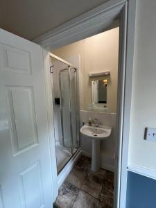 a bathroom with a shower and a sink at The Bell Inn in Devizes
