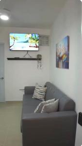 TV a/nebo společenská místnost v ubytování Elida Oceanfront Rentals