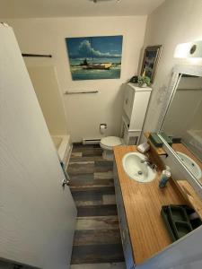 un bagno con lavandino e WC di 2BR Apt • Deck • Assigned Parking a Great Falls
