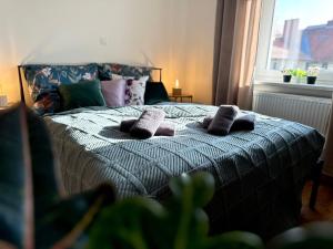 ein Schlafzimmer mit einem Bett mit Kissen und einem Fenster in der Unterkunft Apartament Ratuszowy in Wałbrzych