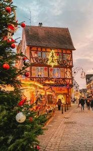 Imagen de la galería de Studio cocooning près de Colmar, en Muntzenheim