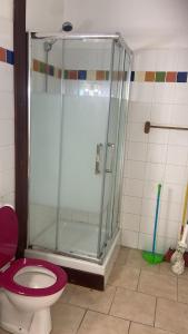a bathroom with a glass shower with a toilet at Apartment in Cupecoy +1 photo