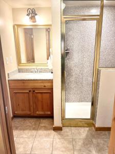 a bathroom with a shower and a sink at Alpine Zermatt King Villa with Kitchen Near Deer Valley Ski Resort #1069 in Mound City