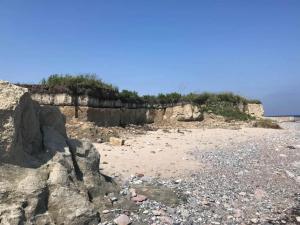 ein Sandstrand mit Felsen und Pflanzen darauf in der Unterkunft 6 person holiday home in Gedser-By Traum in Gedser