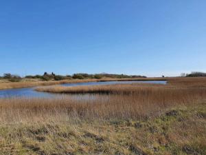 ein sumpfiges Feld mit einem Gewässer in der Unterkunft 6 person holiday home in Gedser-By Traum in Gedser