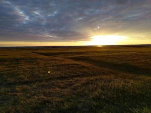 ein Feld mit Sonnenuntergang am Horizont in der Unterkunft 6 person holiday home in Gedser-By Traum in Gedser