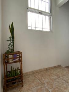 a room with a window and a plant in a chair at La Perla del Yuqueri in Concordia