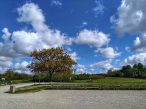 Un parque con un árbol y un cielo azul con nubes en 7 person holiday home in Kolind-By Traum, en Kolind