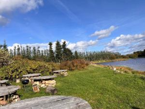 een picknicktafel en een grill naast een rivier bij 8 person holiday home in Silkeborg in Silkeborg