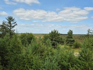 Příroda nedaleko prázdninového domu