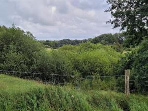 Příroda nedaleko prázdninového domu