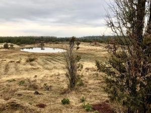 Příroda nedaleko prázdninového domu + 27 fotografií