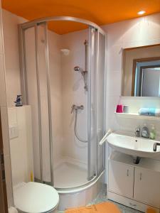 a bathroom with a shower and a toilet and a sink at LilienNest - Stilvolles Apartment mit Panoramablick in Königstein an der Elbe +17 photos