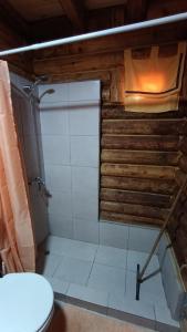 a bathroom with a shower and a toilet in it at Cabañas Rústicas Entre Montañas in Tunuyán
