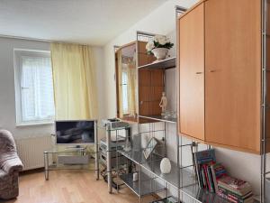 a living room with a glass shelf and a tv at LilienNest - Stilvolles Apartment mit Panoramablick in Königstein an der Elbe