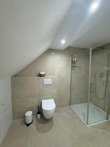 エシュ・シュル・アルゼットにあるChambre Élégance et confort a Eschのシャワー、トイレ、洗面台を備えたバスルーム +15枚の写真