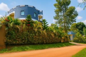 Κήπος έξω από το Noaz Hotel