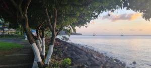 a group of trees next to the water with boats at Acomatsalon in Pointe-Noire