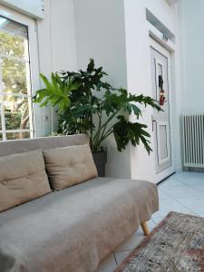 Posezení v ubytování Spring Harmony Trikala Pigi