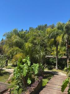 a wooden path through a garden with palm trees at PATO NEGRO in Tigre