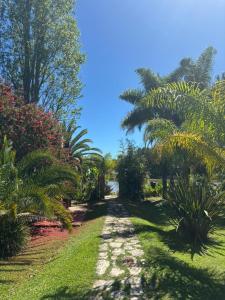 a path through a garden with palm trees and grass at PATO NEGRO in Tigre +21 photos