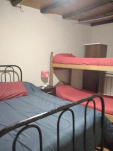 two beds in a room with two bunk beds at HOSPEDAJE DODERA in Gualeguaychú +14 photos