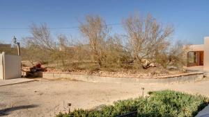 a yard with a retaining wall and some trees at El Dorado Ranch San Felipe Rental - Judy`s Casita in Playa El Paraíso