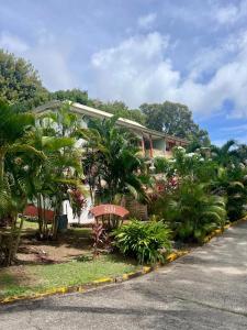 Zahrada ubytování Elau-studio