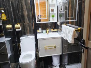 エッサウィラにあるAzur appartement essaouiraのトイレ、洗面台、鏡のあるバスルーム