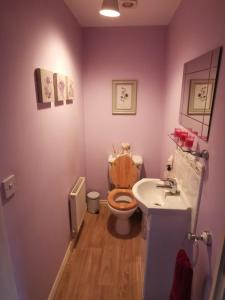 a bathroom with a toilet and a sink at Themed Cosy Home by Cannock Chase Forest in Rugeley