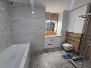 Koupelna v ubytování Petru Rares Residence