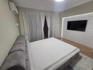 TV a/nebo společenská místnost v ubytování Petru Rares Residence