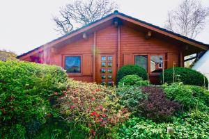 Vườn quanh Küstenhaus Seeschwalbe