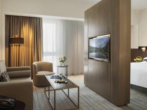 TV a/nebo společenská místnost v ubytování Novotel Muscat Airport + 74 fotografií