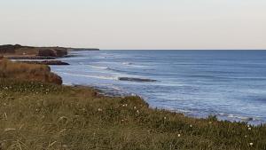 ein Blick auf das Meer von einem Hügel mit Gras in der Unterkunft Cabañitas surf bruskas in Miramar