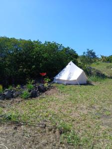 Κήπος έξω από το Affordable Hawai'i