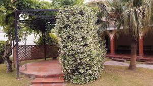 Zahrada ubytování Mi pedacito de Cielo!!!! + 26 fotografií