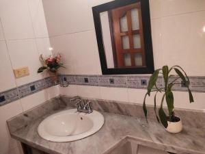 a bathroom sink with a potted plant and a mirror at Apartamento a 15 Min del centro in Cartagena de Indias
