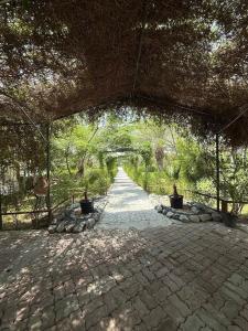 an archway with plants in pots on a walkway at By Sayyar in Abu Dhabi