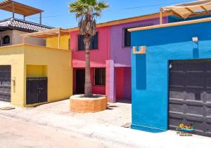 a palm tree in front of a colorful house at Condo 3, Easy Walk to San Felipe Malecon in San Felipe