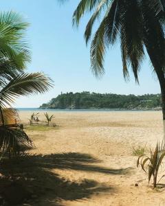 uma praia de areia com palmeiras e o oceano em Casa "Cerca del Mar" em Mazunte mais 3 fotografias