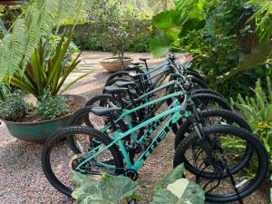 a row of blue bikes parked in a garden at Pandurata Bed and Breakfast in Valle de Bravo