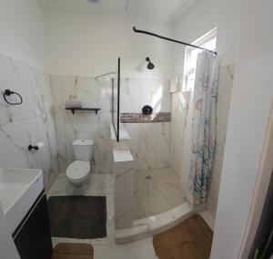 a white bathroom with a toilet and a shower at Tony's Place in Christ Church +14 photos