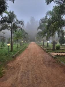 a dirt road with trees on the sides of it at Holidaypark in Araku