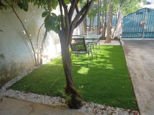 Zahrada ubytování Residencia COCO 28 Downtown Cancun