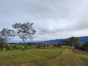 a field with a tree and a house in the distance at Thursina Camping Ground in Paragajen