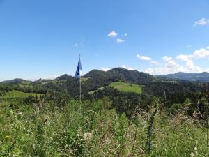 a flag on top of a hill with green fields at Haus Am Sternsberg in Sternenberg +32 photos