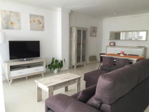 a living room with a couch and a tv and a table at Apartamento Puerto Blanes in Blanes