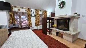 The Castle Mansarde on the slope 7 - Pamporovo في بامبوروفو: غرفة معيشة مع مدفأة وتلفزيون